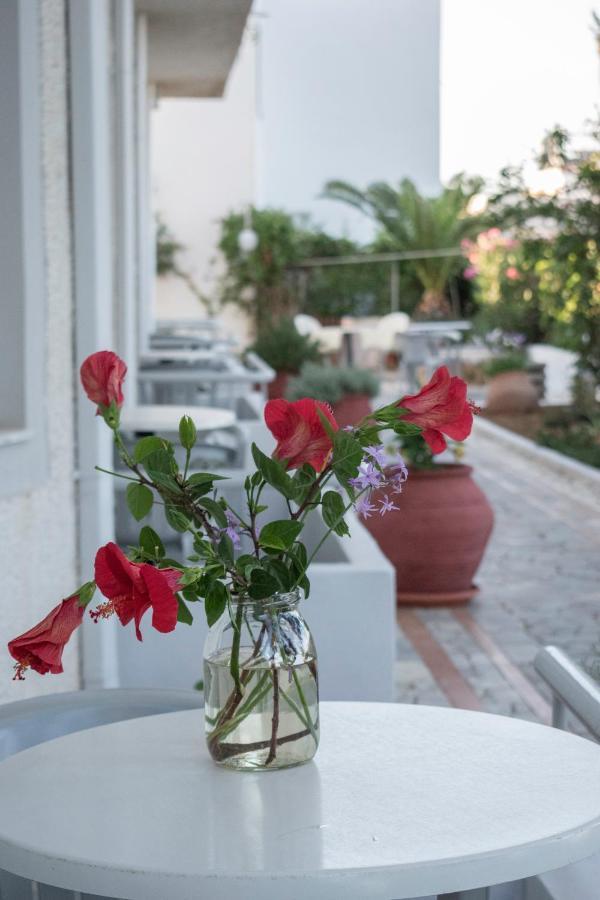 Stefanie Studios Agia Marina  Exterior photo